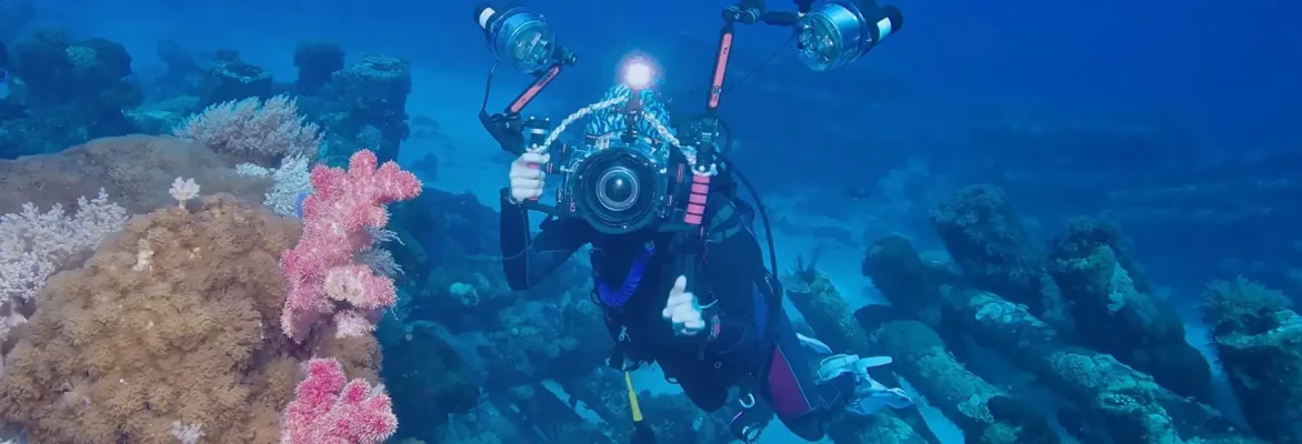 آکواریوم فلوریا استانبول