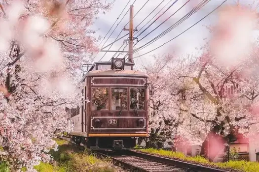 مدارک لازم برای ویزای ژاپن