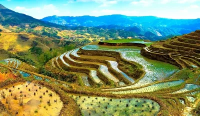 تور فیلیپین